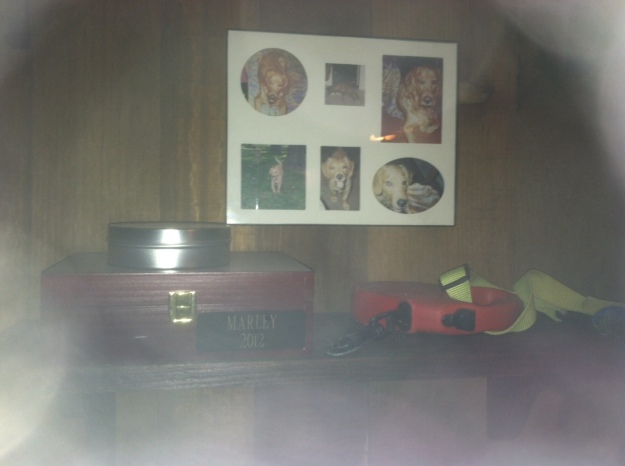 My  Marley shrine in my man cave