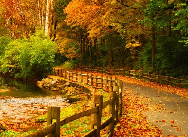 Colors flourish during the fall in the Keystone State. (Photo from visitpa.com.)